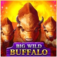 game logo by Belatra Games on shelbywinlive.co.uk